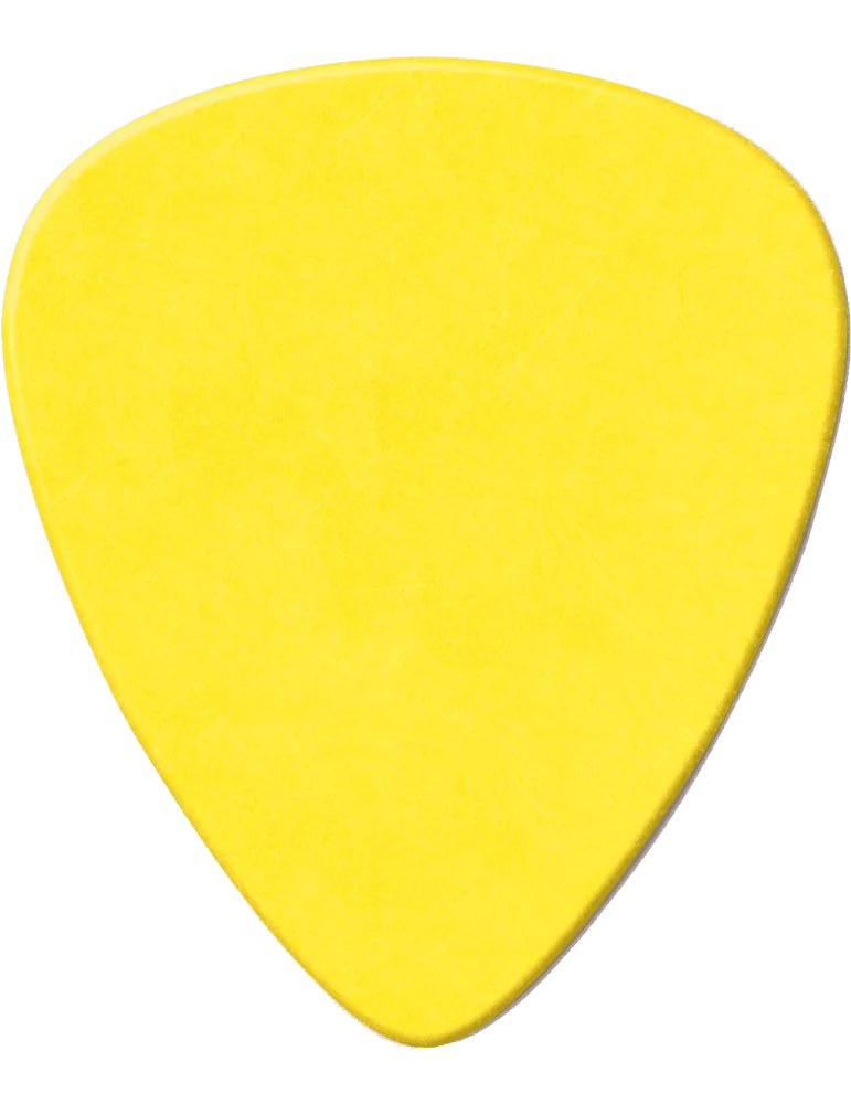 DUNLOP 418P73 | MusicGoodDeal