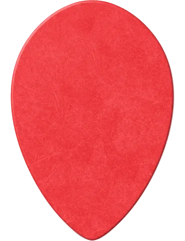 DUNLOP 423R050 | MusicGoodDeal 2