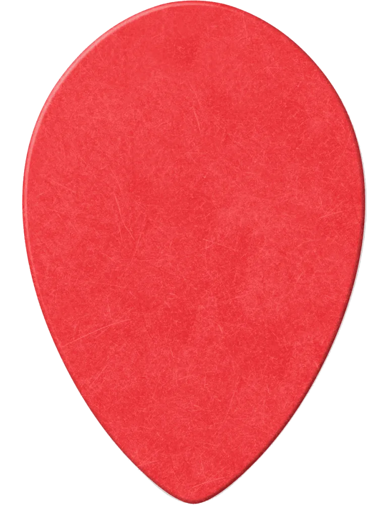 DUNLOP 423R050 | MusicGoodDeal