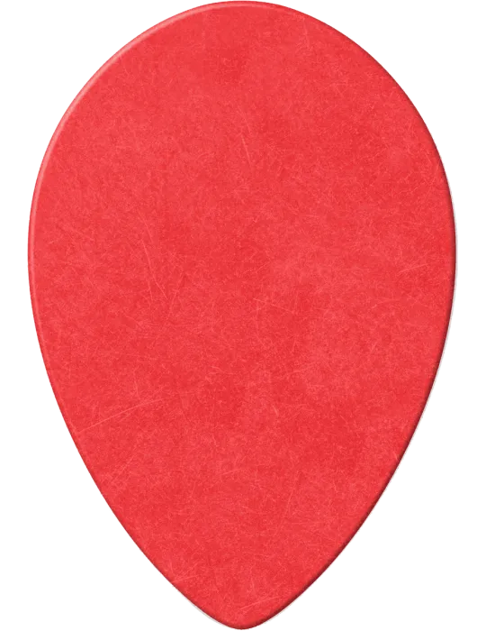 DUNLOP 423R050 | MusicGoodDeal