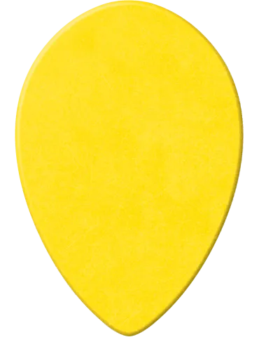 DUNLOP 423R073 | MusicGoodDeal 2