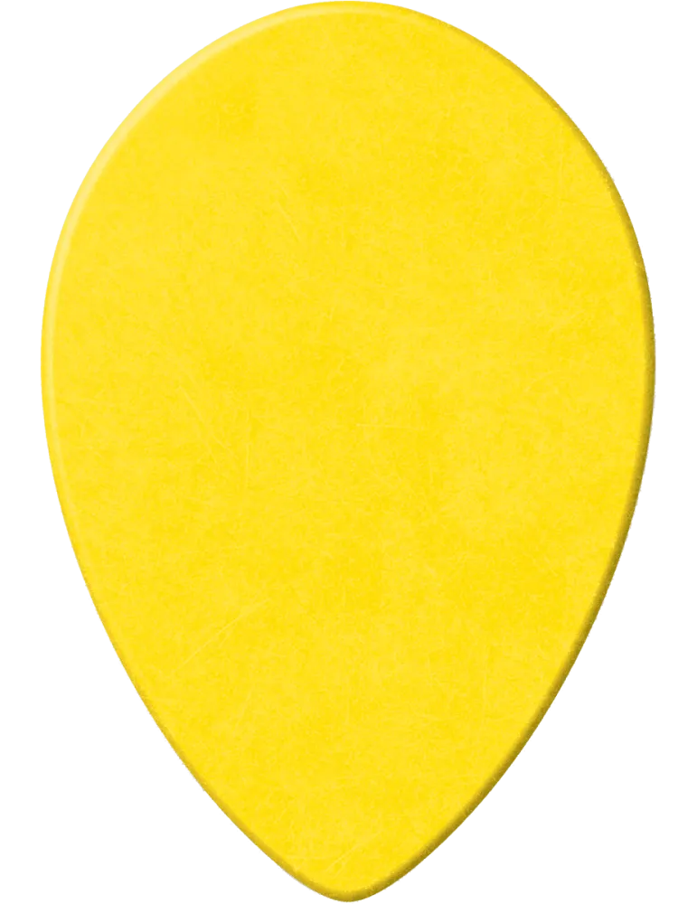 DUNLOP 423R073 | MusicGoodDeal