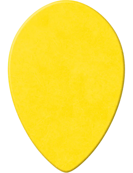 DUNLOP 423R073 | MusicGoodDeal