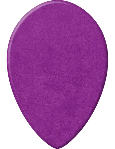 DUNLOP 423R114 | MusicGoodDeal 2