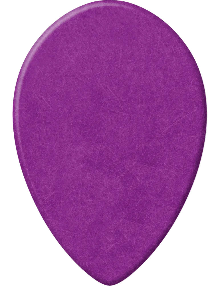 DUNLOP 423R114 | MusicGoodDeal