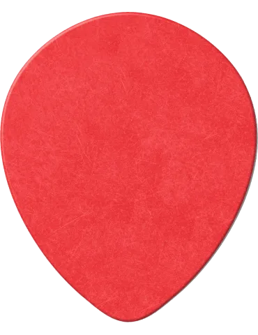 DUNLOP 413R50 | MusicGoodDeal 2