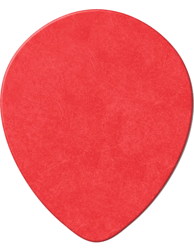 DUNLOP 413R50 | MusicGoodDeal