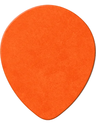 DUNLOP 413R60 | MusicGoodDeal 2