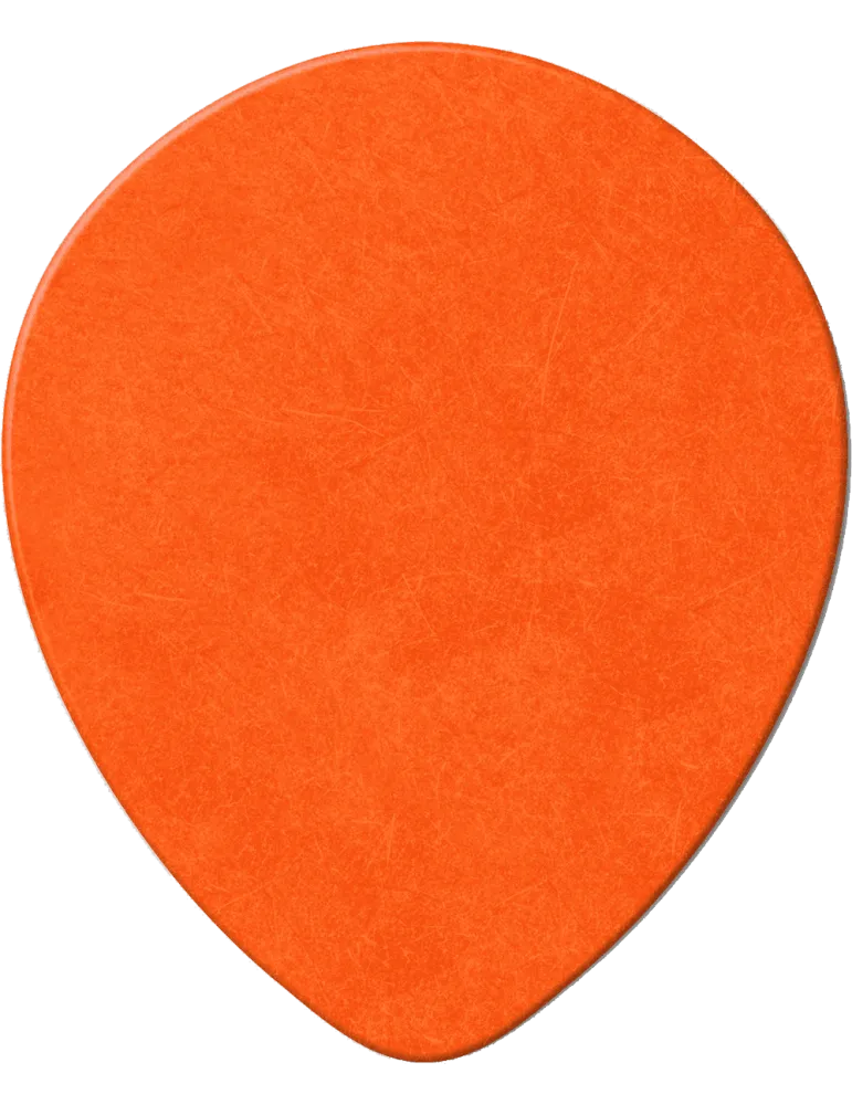 DUNLOP 413R60 | MusicGoodDeal