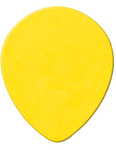 DUNLOP 413R73 | MusicGoodDeal 2