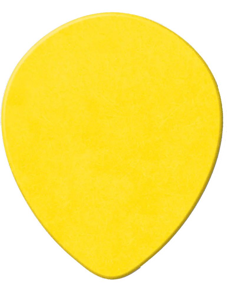 DUNLOP 413R73 | MusicGoodDeal
