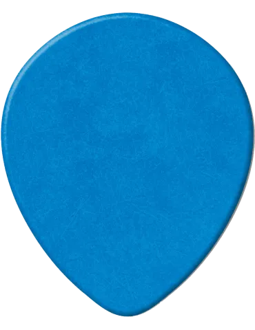 DUNLOP 413R10 | MusicGoodDeal 2