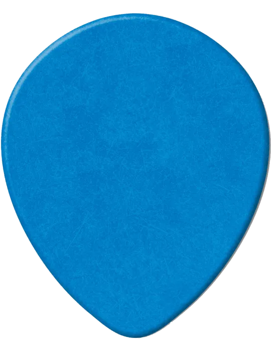 DUNLOP 413R10 | MusicGoodDeal