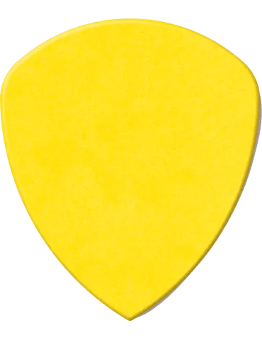 DUNLOP 558R073 | MusicGoodDeal 2