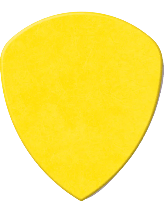 DUNLOP 558R073 | MusicGoodDeal