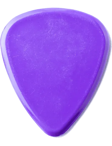 DUNLOP 41R150 | MusicGoodDeal 2