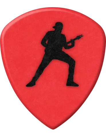 DUNLOP 574PAJ200 | MusicGoodDeal