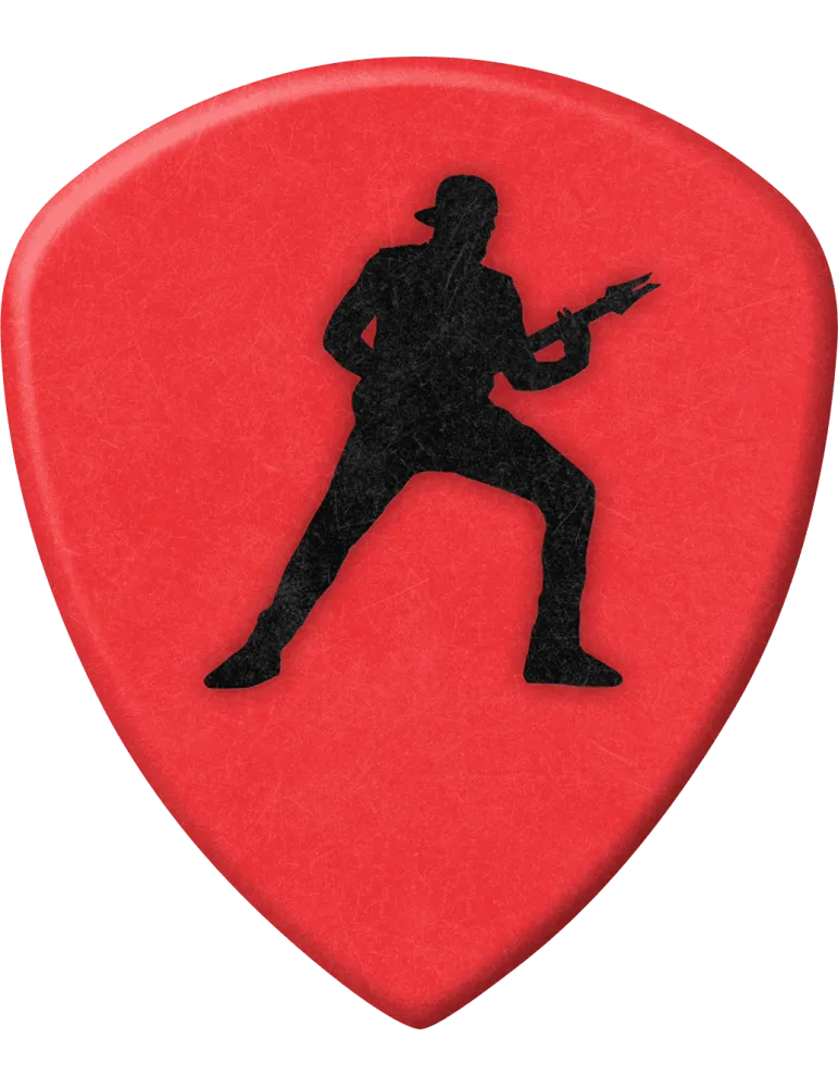 DUNLOP 574PAJ200 | MusicGoodDeal
