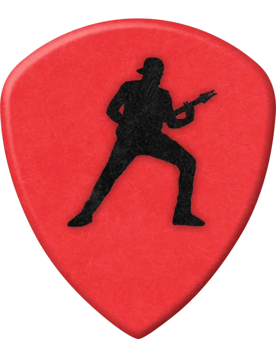 DUNLOP 574PAJ200 | MusicGoodDeal