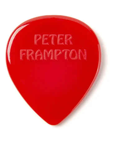 DUNLOP PF599RR | MusicGoodDeal