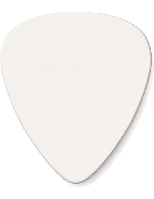 DUNLOP 483P01M | MusicGoodDeal