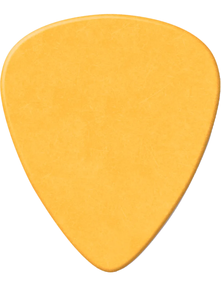 DUNLOP 479RMD | MusicGoodDeal