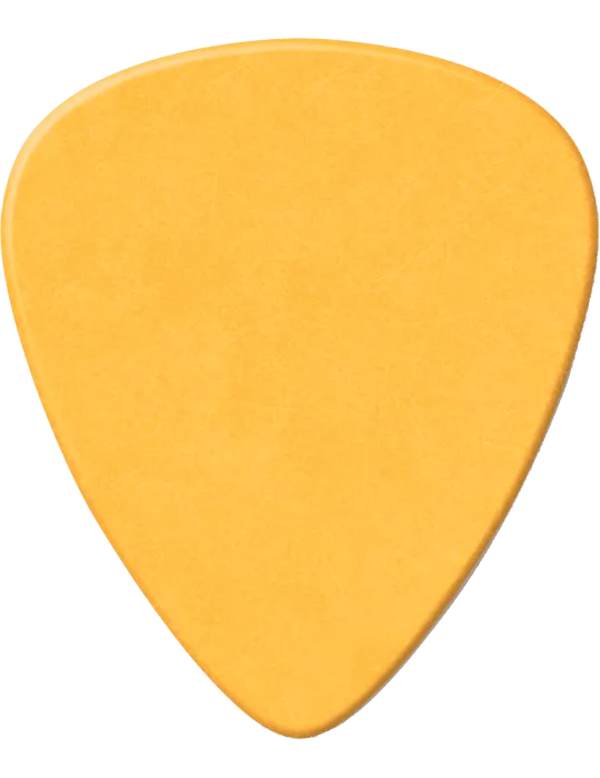 DUNLOP 479RMD | MusicGoodDeal