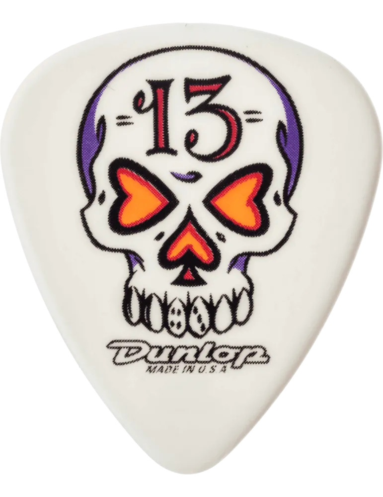 DUNLOP BL100P100 | MusicGoodDeal