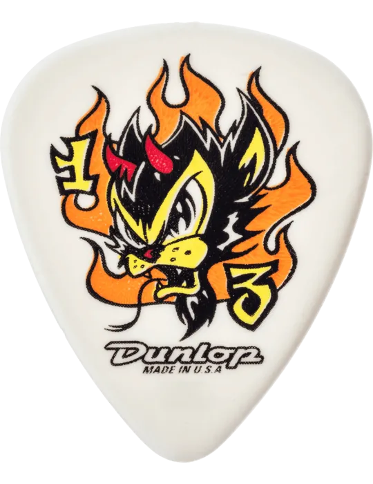 DUNLOP BL100P100 | MusicGoodDeal