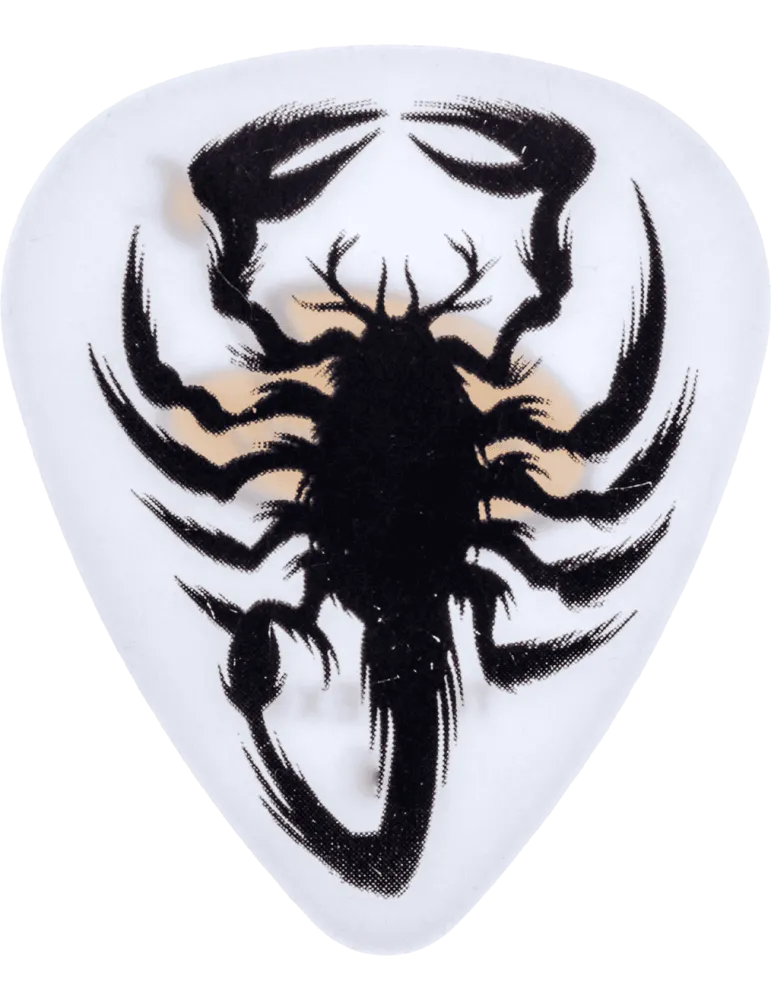 DUNLOP BL48R60 | MusicGoodDeal