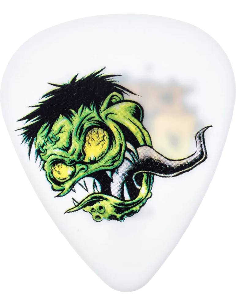 DUNLOP BL29R73 | MusicGoodDeal
