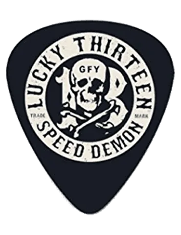 DUNLOP L15R73 | MusicGoodDeal