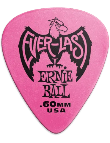 ERNIE BALL 9179 | MusicGoodDeal