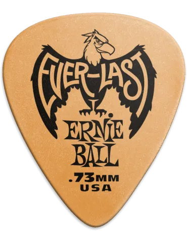 ERNIE BALL 9190 | MusicGoodDeal