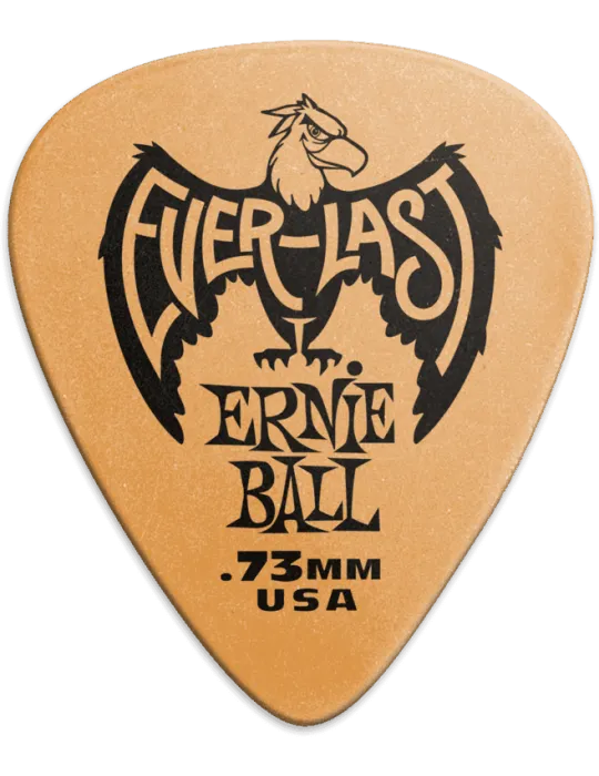 ERNIE BALL 9190 | MusicGoodDeal