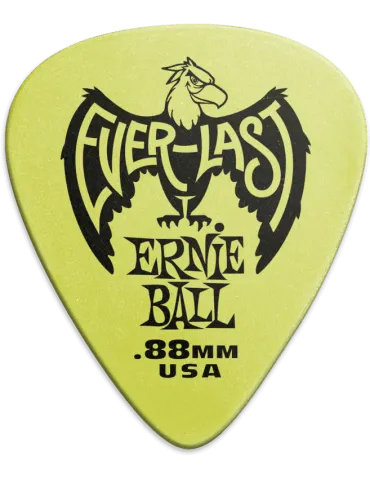 ERNIE BALL 9191 | MusicGoodDeal