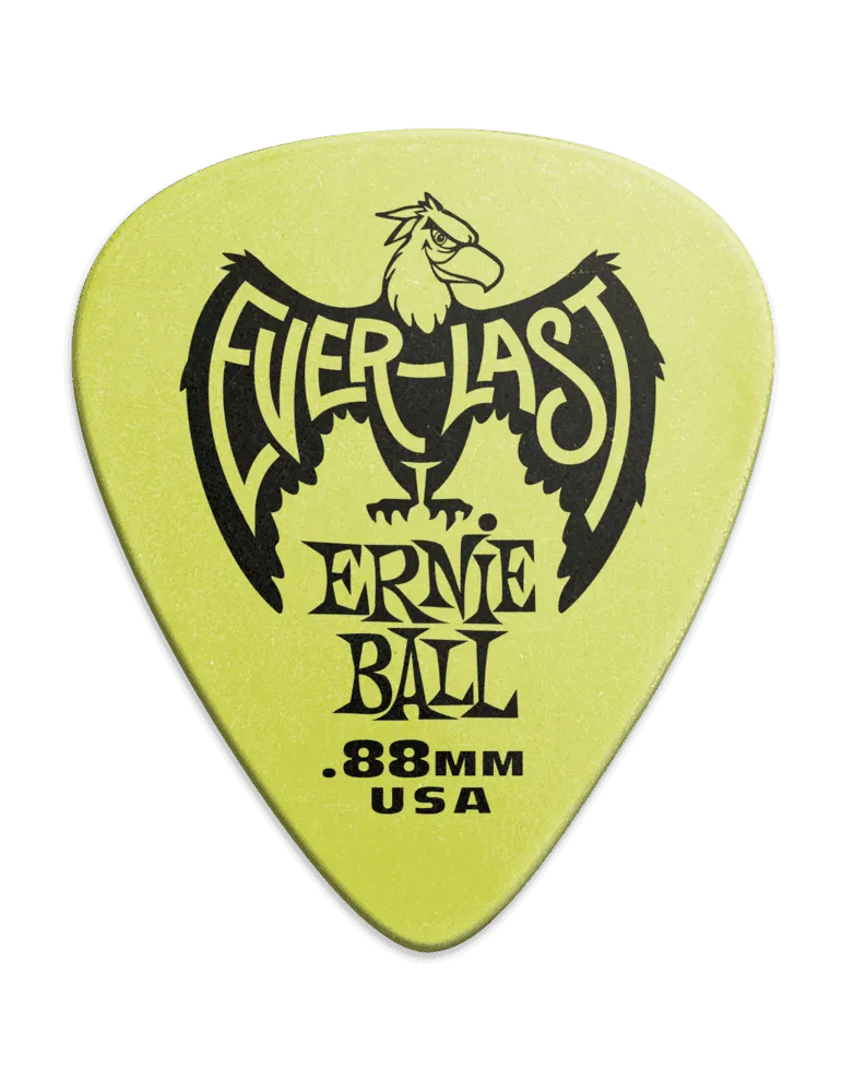 ERNIE BALL 9191 | MusicGoodDeal