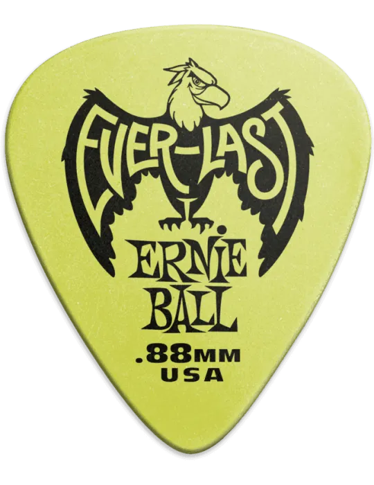 ERNIE BALL 9191 | MusicGoodDeal