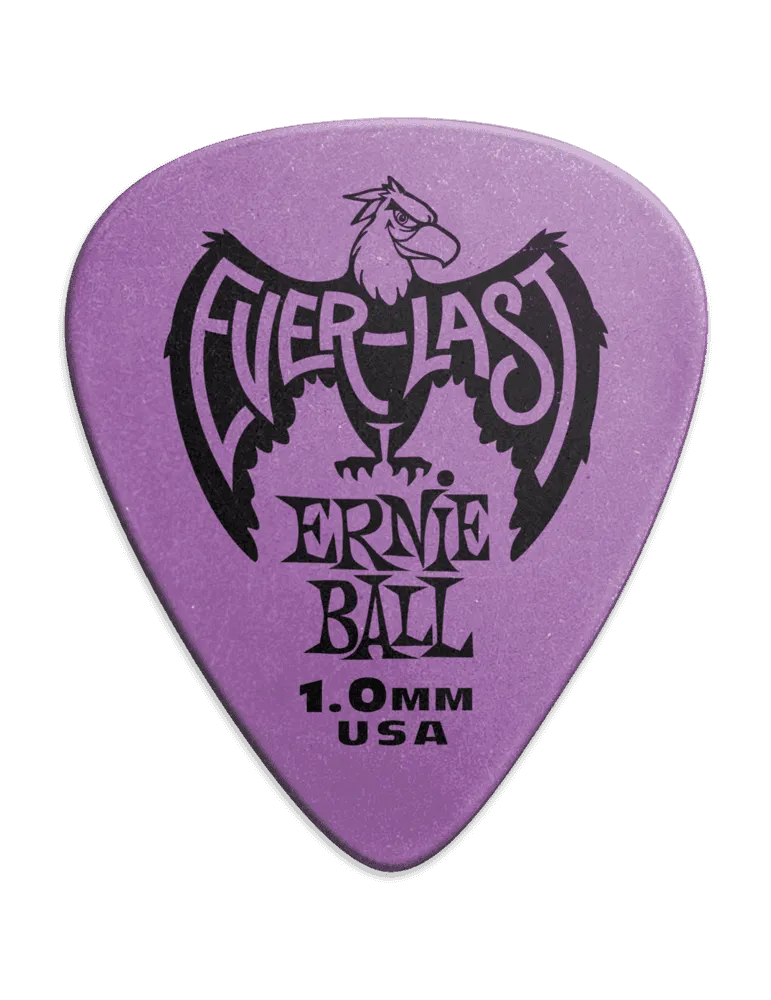 ERNIE BALL 9193 | MusicGoodDeal