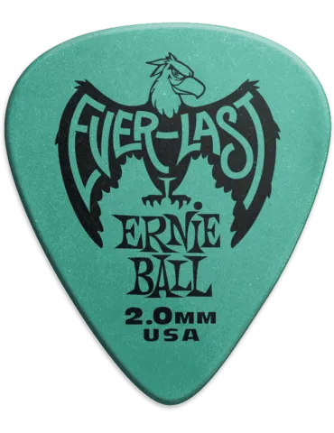 ERNIE BALL 9196 | MusicGoodDeal