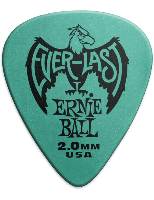 ERNIE BALL 9196 | MusicGoodDeal
