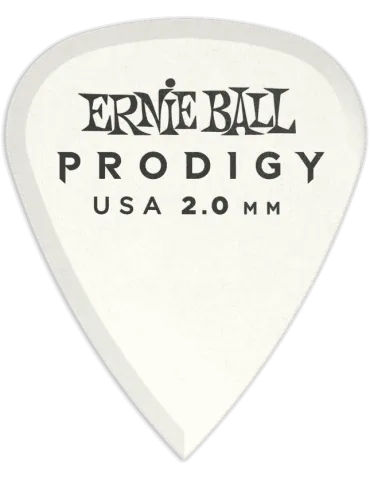 ERNIE BALL 9202 | MusicGoodDeal
