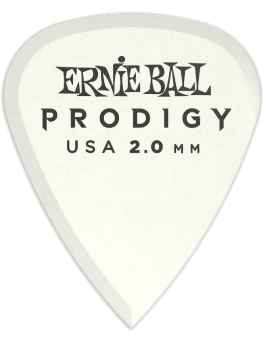 ERNIE BALL 9202 | MusicGoodDeal
