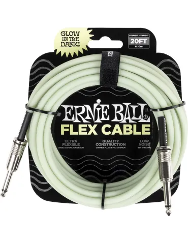 ERNIE BALL 6437 | MusicGoodDeal