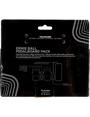 ERNIE BALL 6462 | MusicGoodDeal 2