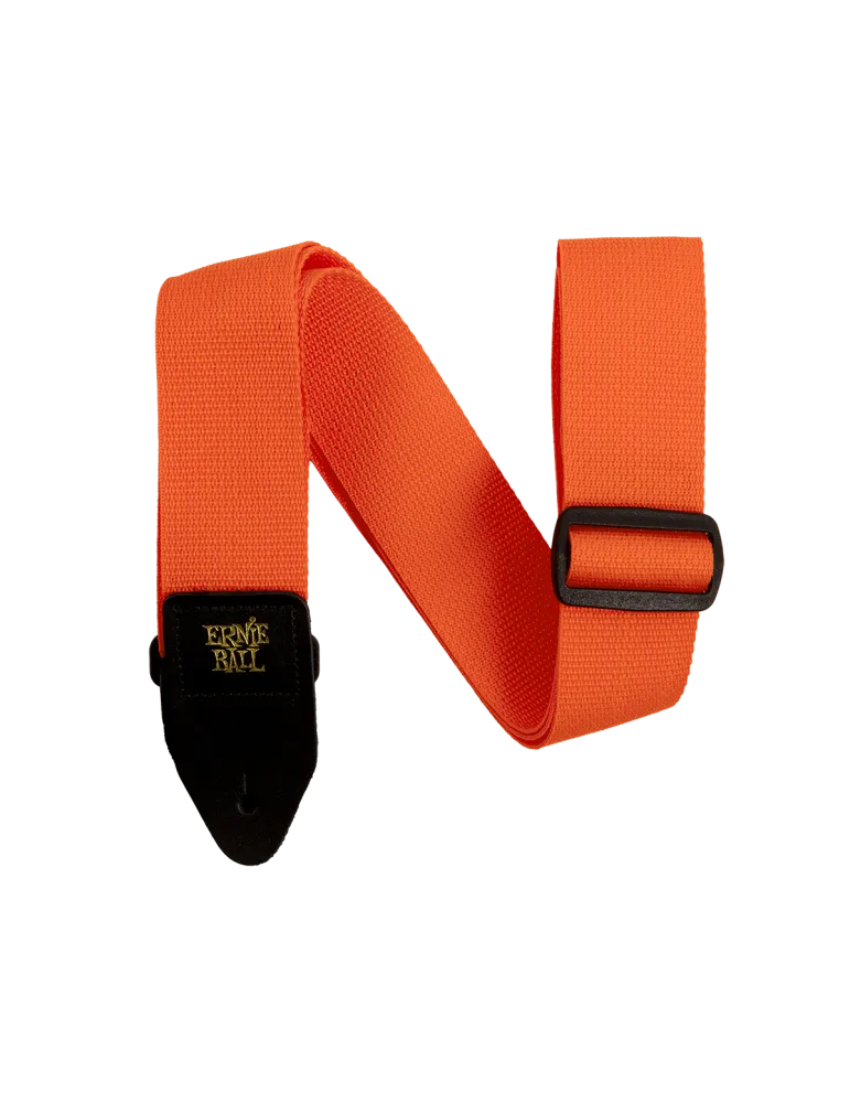 ERNIE BALL 5353 | MusicGoodDeal