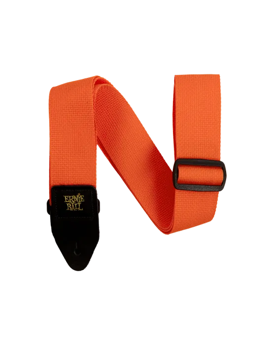 ERNIE BALL 5353 | MusicGoodDeal