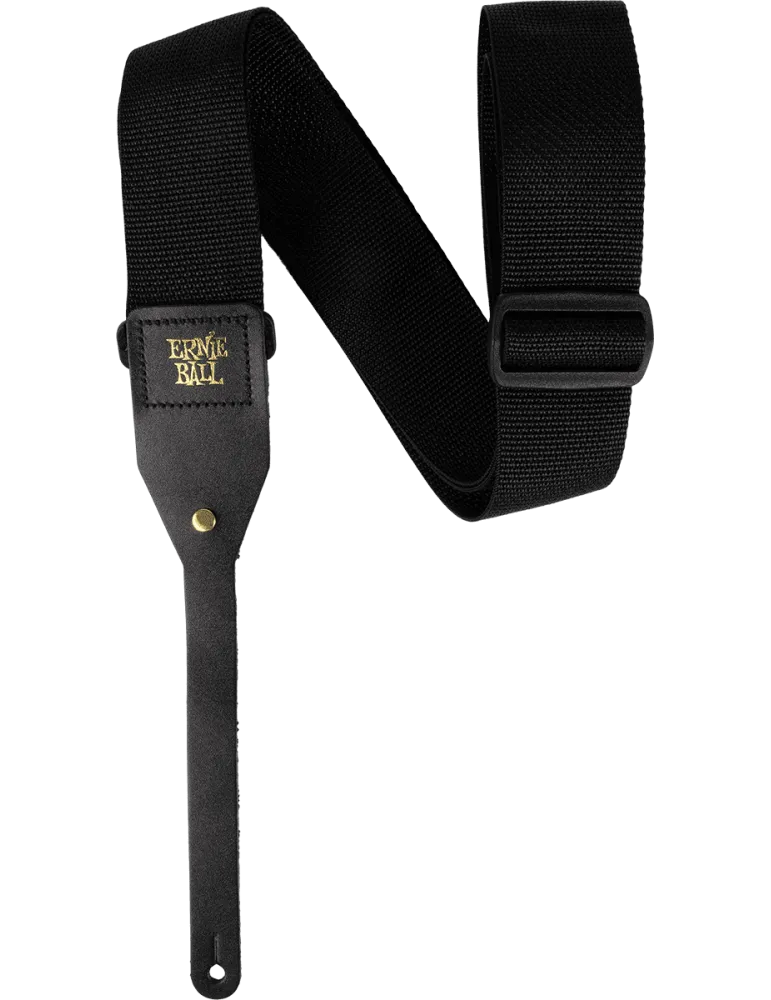 ERNIE BALL 5365 | MusicGoodDeal