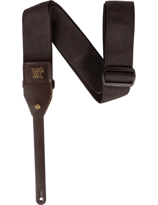 ERNIE BALL 5366 | MusicGoodDeal