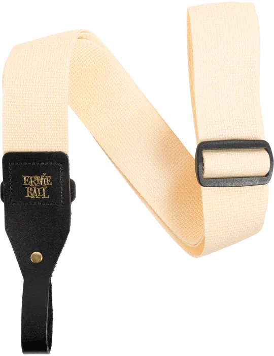 ERNIE BALL 5368 | MusicGoodDeal